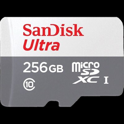 SanDisk Ultra microSDXC 256GB 100MB/s Class 10 UHS-I Модуль флеш-пам'яті 30339 фото