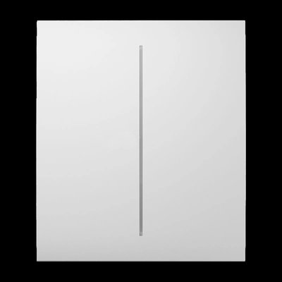 Ajax CenterButton (2-gang) [55] white Кнопка центральна для двоклавішного вимикача 28958 фото
