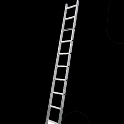 UNOMAX VIRASTAR Алюмінієві односекційні сходи 10 сходинок 30310 фото